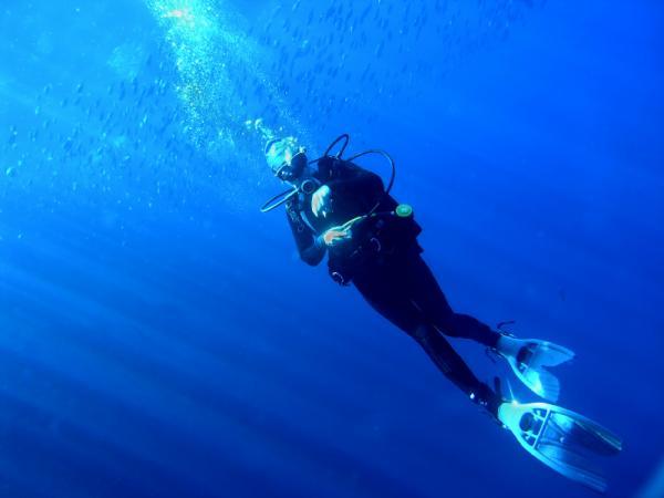 Nitrogen Narcosis Vs The Bends Divingpicks