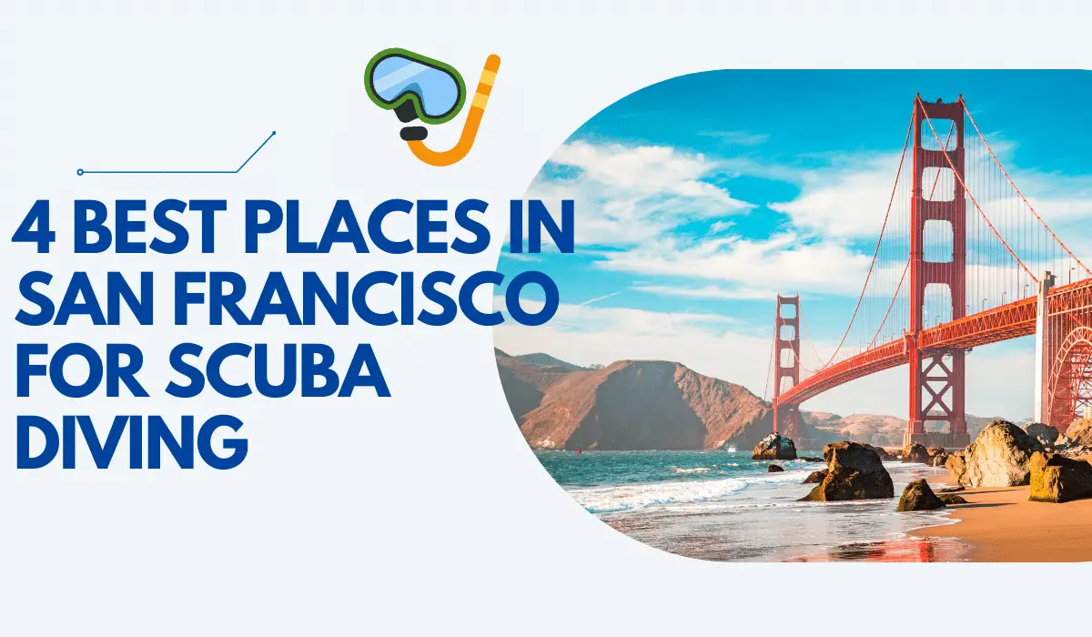 4 Best Places in San Francisco for Scuba Diving DivingPicks com