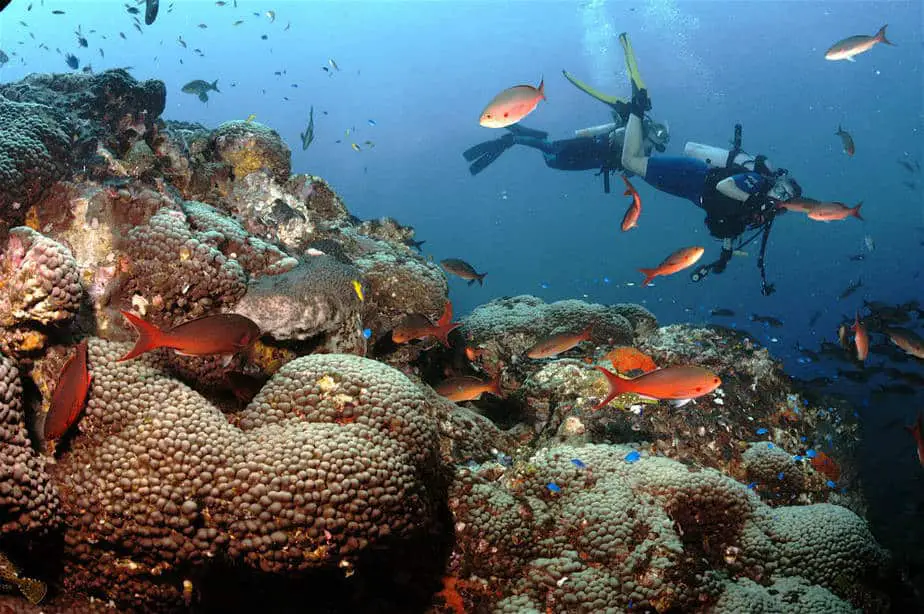 Scuba Diving Locations in the USA  
