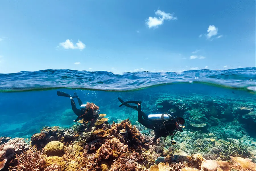 best places to dive great barrier reef
