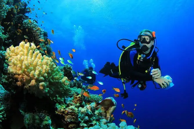 Best Scuba Diving in Bali for Beginners