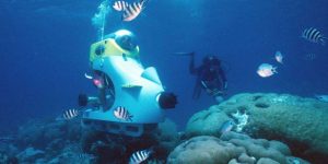 divingpicks