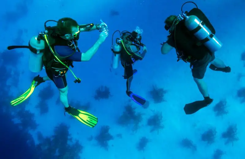 What is SCUBA an Acronym For?