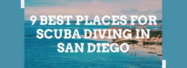 DivingPicks.com - Diving reviews, best places to dive and details you ...