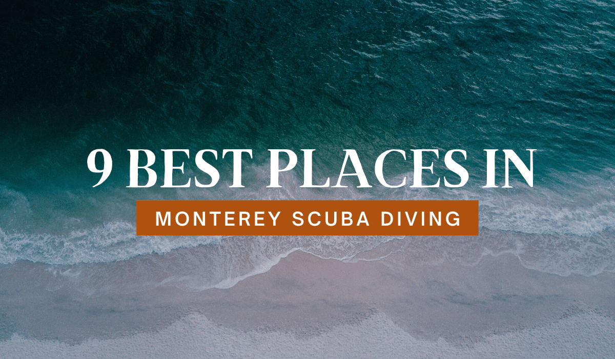 9 Best Places in Monterey Scuba Diving - DivingPicks.com