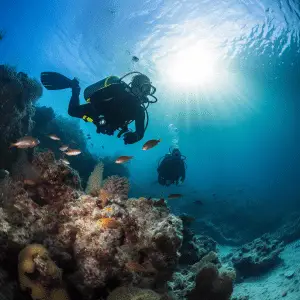 Popular PADI scuba diving destinations
